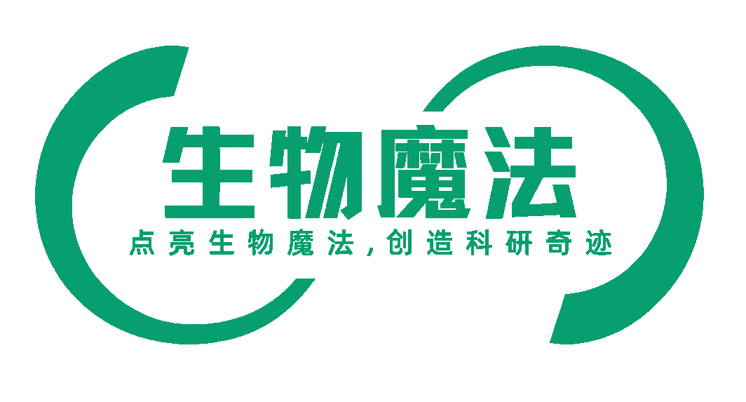 南美特级胎牛血清，50ml*10支